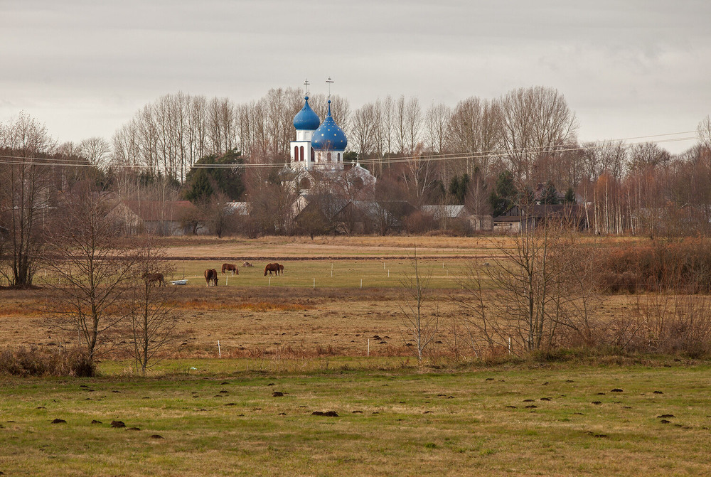 Фотографія осінній мотив / Павел Хмур / photographers.ua