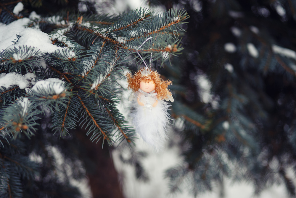 Фотографія снежный ангел / Зоя Шевчук / photographers.ua