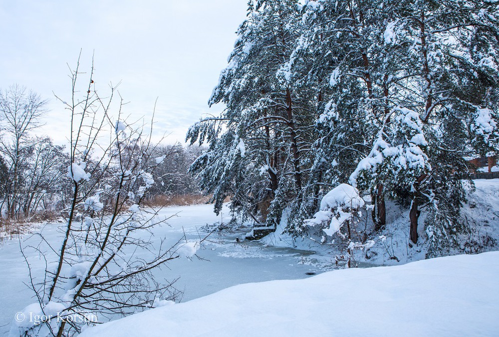 Фотографія Зимний пейзаж / Igor Korsun / photographers.ua