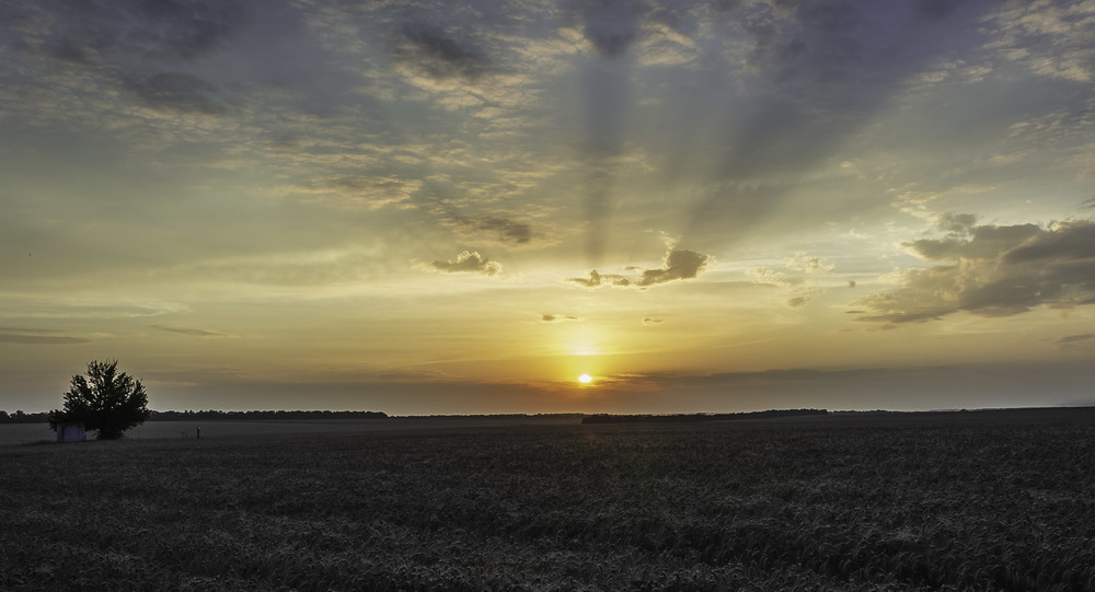 Фотографія Вечірнє сонце над полями. / Anton Yasenchuk / photographers.ua