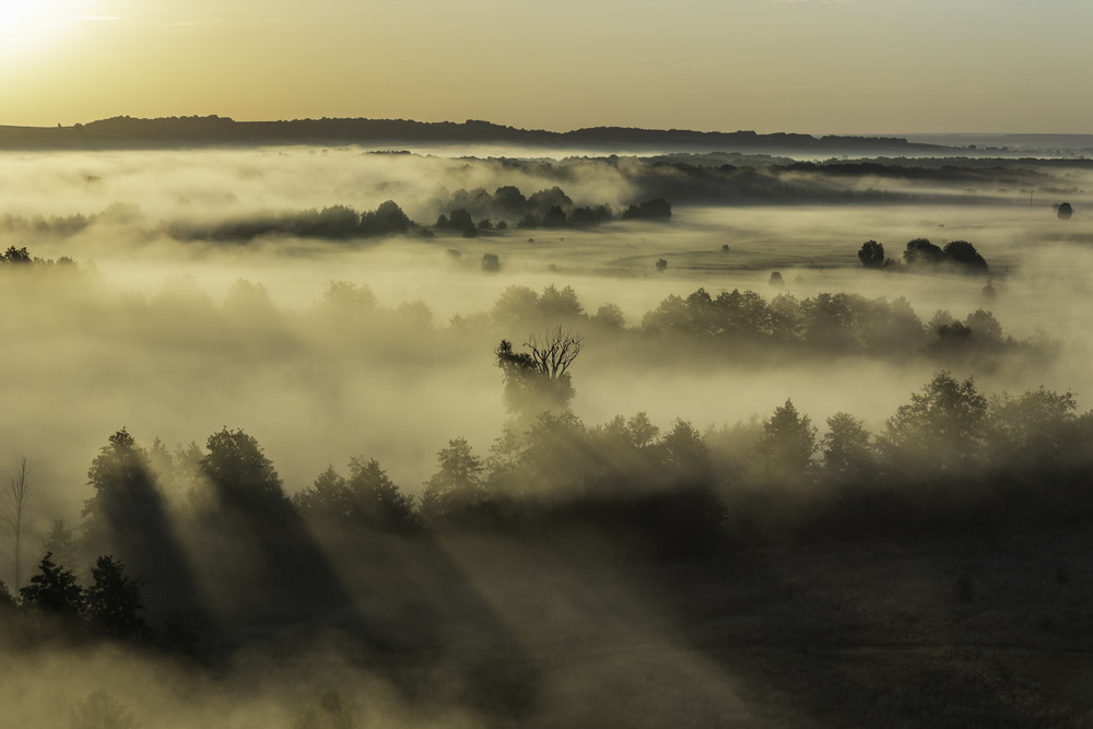 Фотографія Тумани ріки Псел / Anton Yasenchuk / photographers.ua
