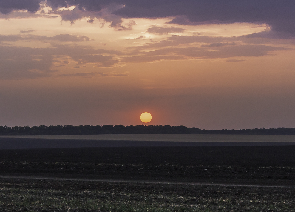 Фотографія Осіннє сонце у вечерню годину. / Anton Yasenchuk / photographers.ua