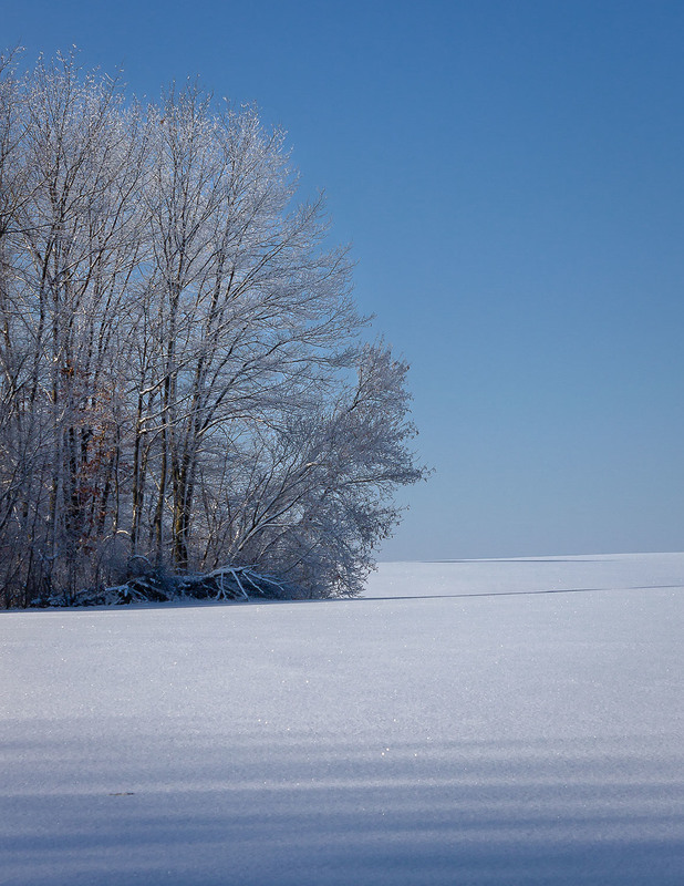 Фотографія Зима яку важко не любити.) / Anton Yasenchuk / photographers.ua