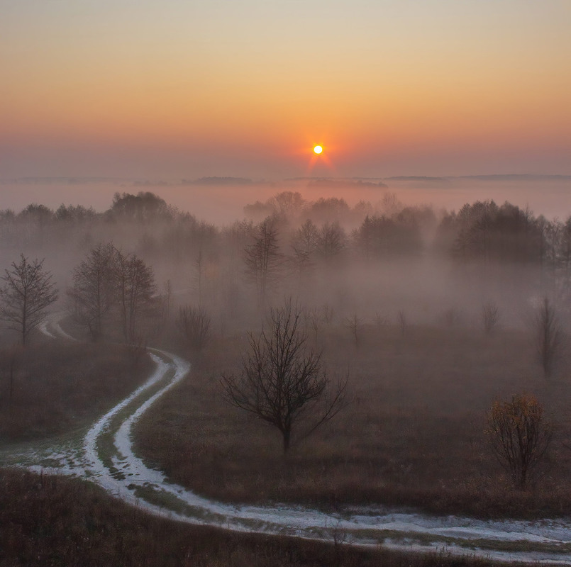 Фотографія Шлях до сонця. / Anton Yasenchuk / photographers.ua
