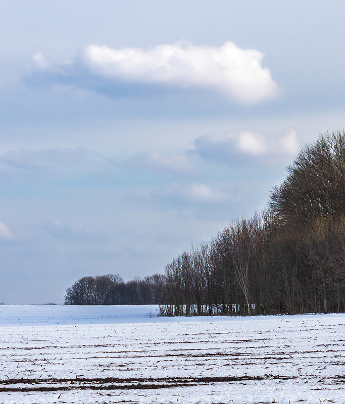 Фотографія Небо вже високе І блакить прозора... Перше березня. / Anton Yasenchuk / photographers.ua
