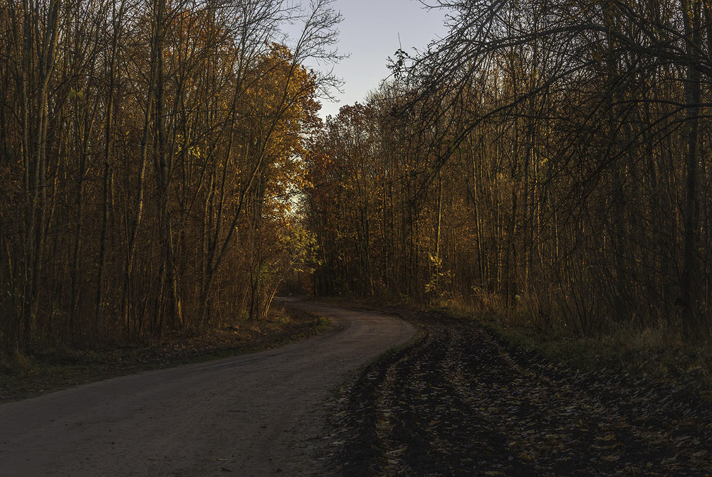 Фотографія Шляхи - дороги. Вечір, місяць листопад. / Anton Yasenchuk / photographers.ua