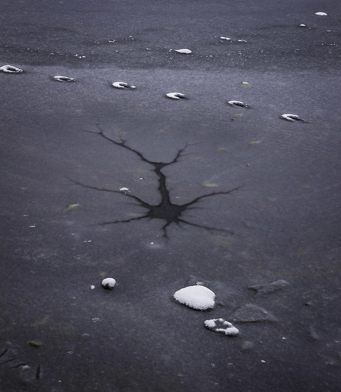 Фотографія Заключна з примар мерзлого берега. / Anton Yasenchuk / photographers.ua