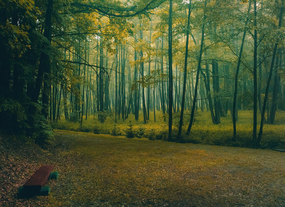 Фотографія Перше дихання осені. / Anton Yasenchuk / photographers.ua