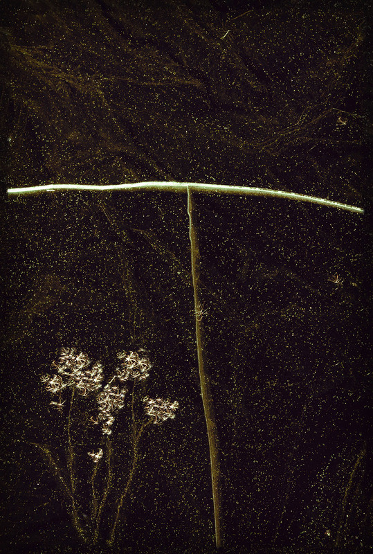 Фотографія Вікно у ніч. / Anton Khul / photographers.ua