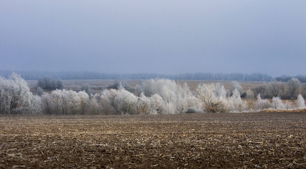 Фотографія Поля сумського покордоння в зимовий час. / Anton Khul / photographers.ua