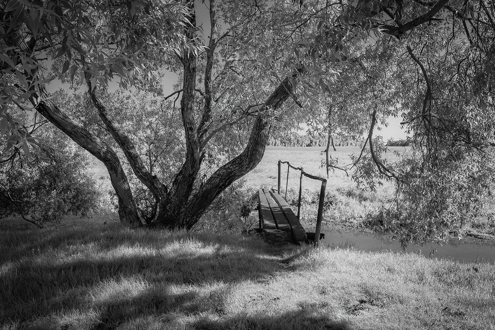 Фотографія Перехід. / Anton Khul / photographers.ua