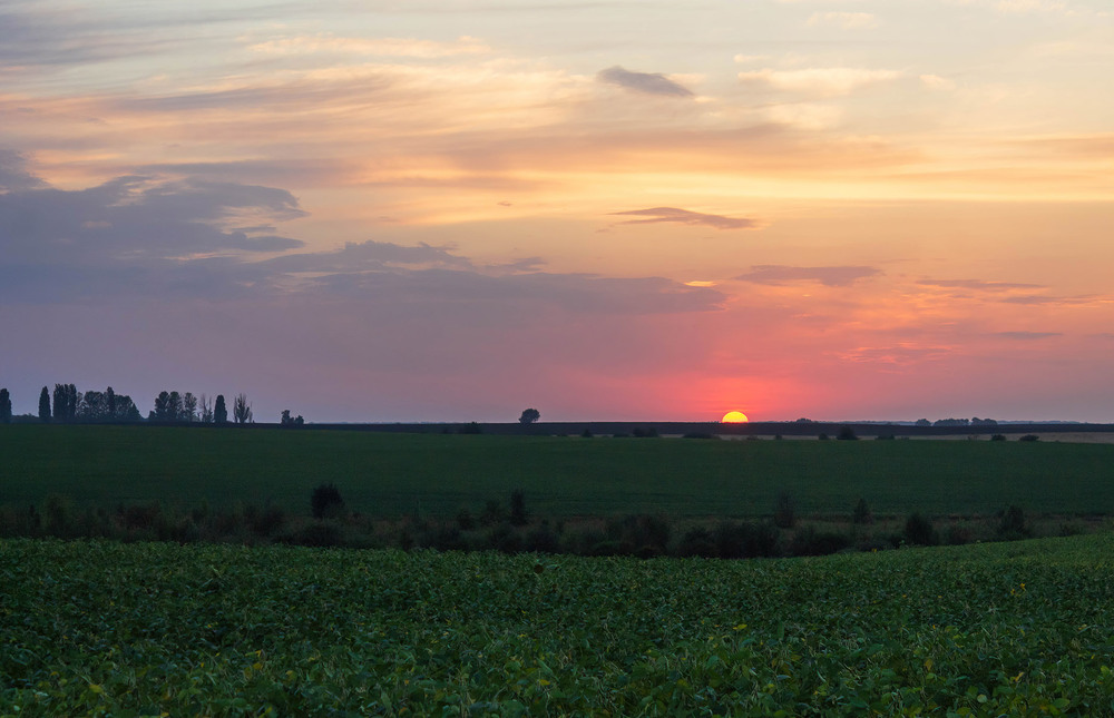 Фотографія Плине Сонце за НебоКрай Сварожий РАнок зустрічати. / Anton Khul / photographers.ua