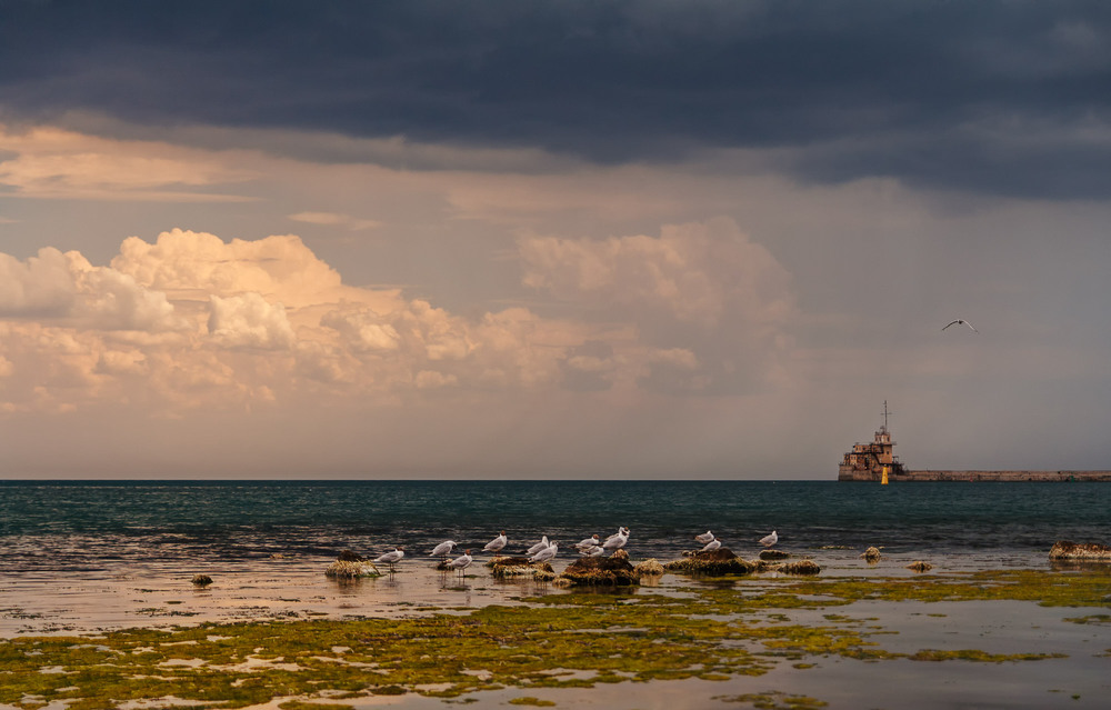Фотографія Чёрное море. В ожидании грозы. 2018 / Марина Галаджий / photographers.ua