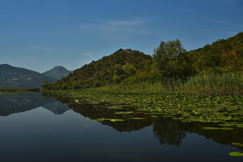 Фотографія Montenegro Calm (Тиша в Чорногорії) / Михайло Колісник / photographers.ua