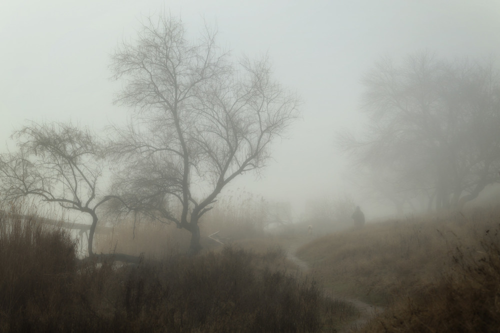 Фотографія У ранковому тумані / Ігор Марценюк / photographers.ua