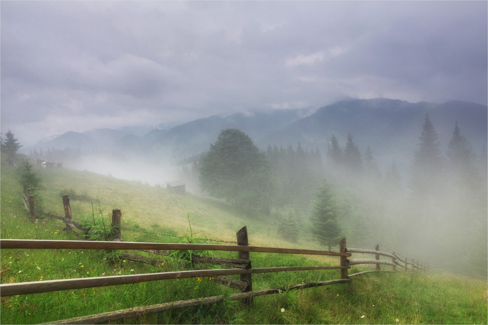 Фотографія Тумани, тумани... / Ігор Марценюк / photographers.ua