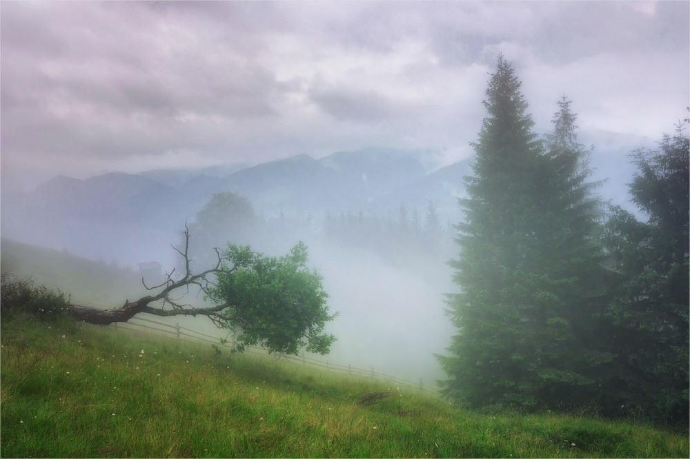 Фотографія Туман і гори / Ігор Марценюк / photographers.ua