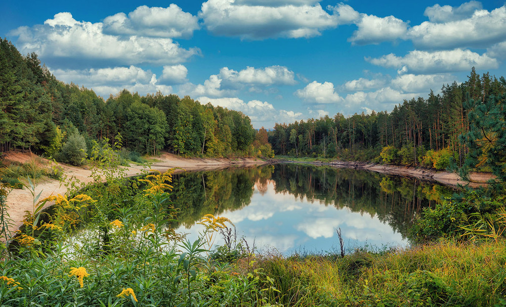 Фотографія Лісове озеро / Oleksandr Huchok / photographers.ua