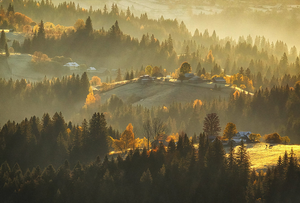 Фотографія Золотий ранок Карпат. / Олександр Гучок / photographers.ua