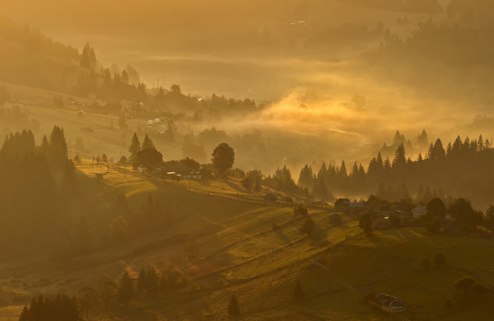 Фотографія Золотий ранок / Олександр Гучок / photographers.ua