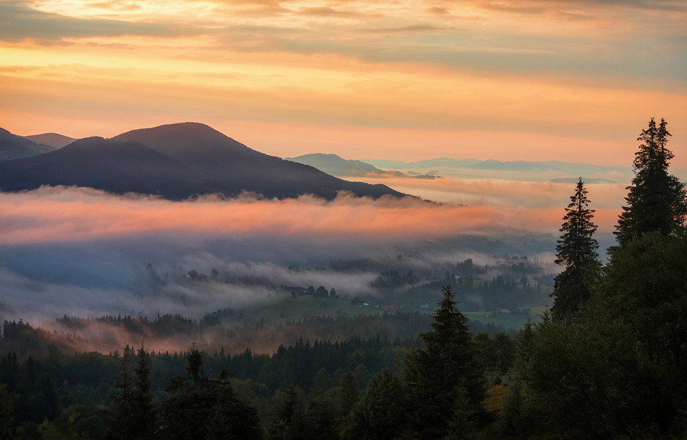 Фотографія Шепіт світанку / Олександр Гучок / photographers.ua