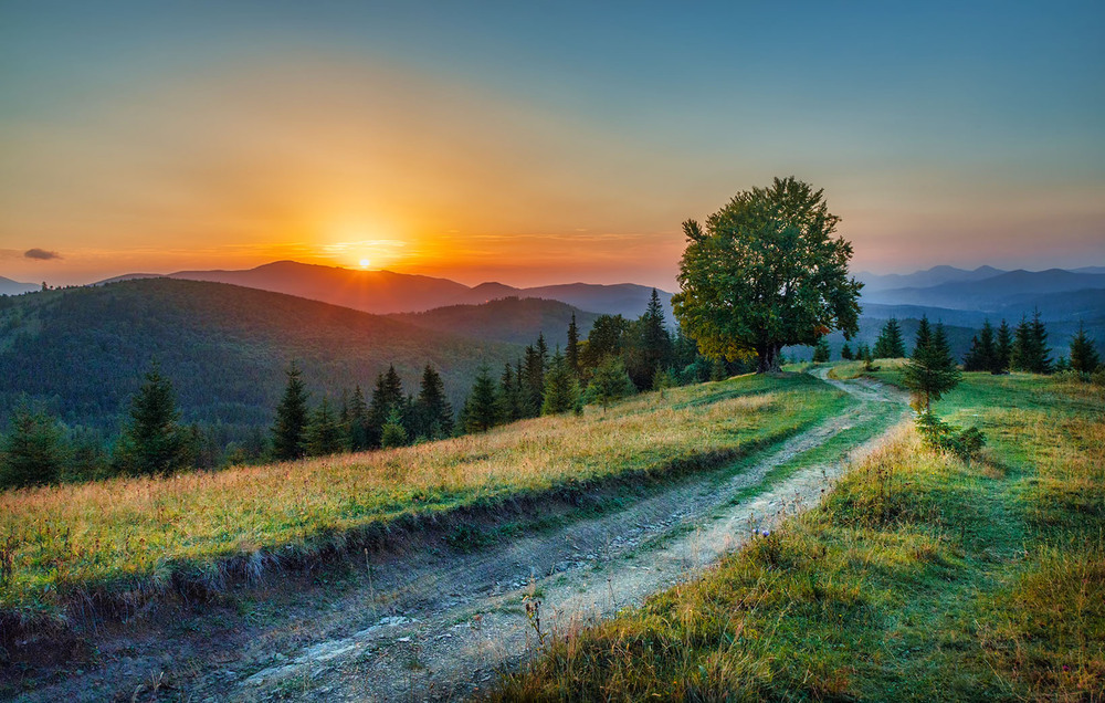 Фотографія Бук, гори і захід сонця. / Oleksandr Huchok / photographers.ua