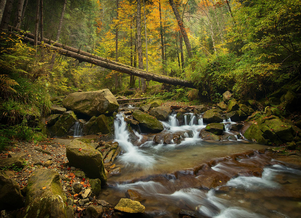 Фотографія Струмок біля Яремче / Олександр Гучок / photographers.ua