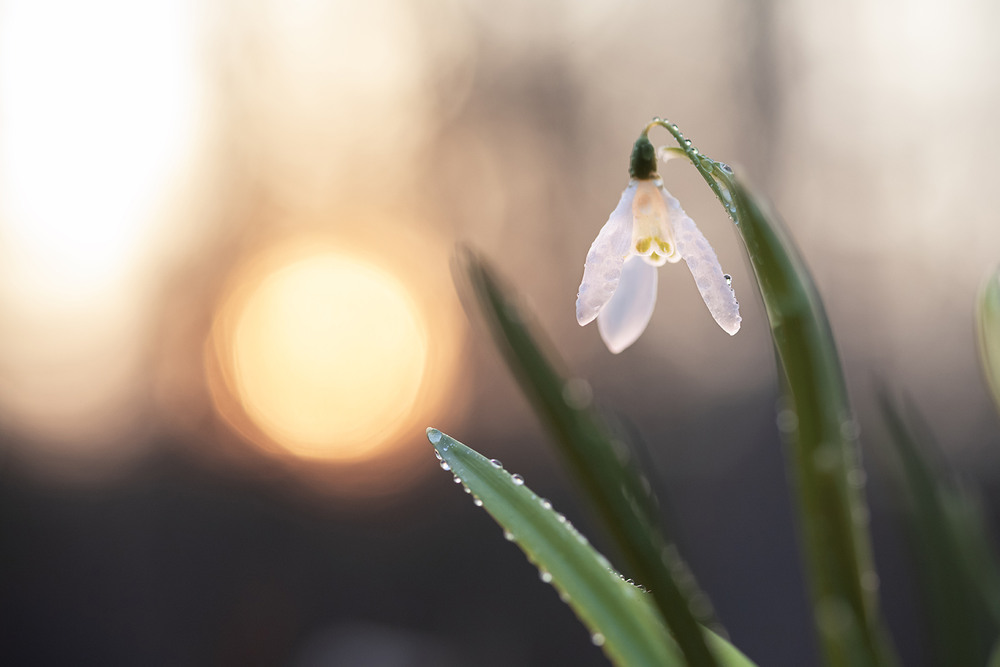 Фотографія Навпроти сонця. / Олександр Гучок / photographers.ua