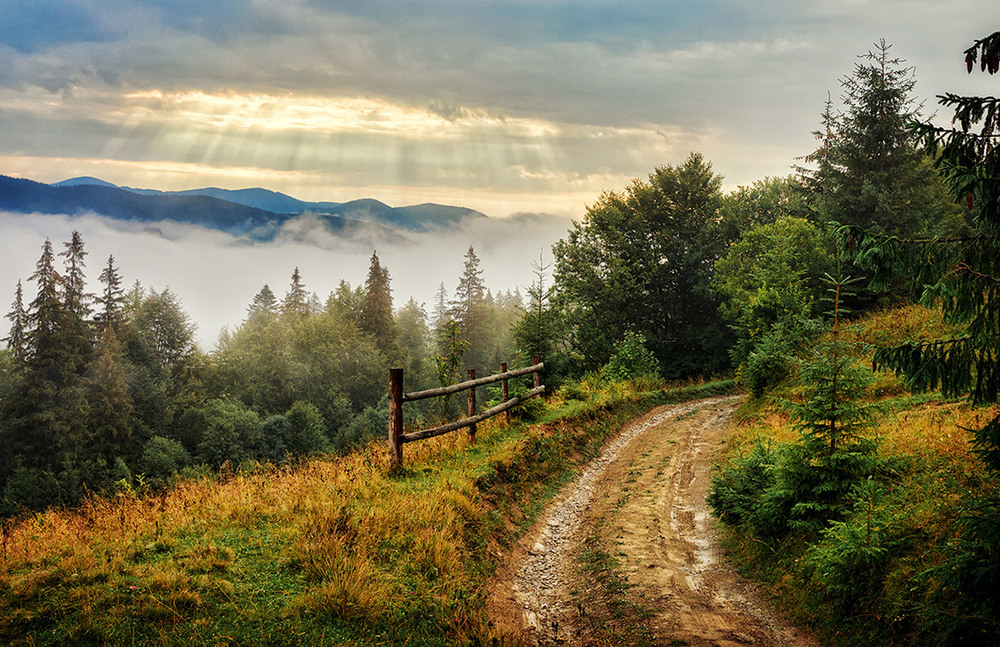 Фотографія Придорожня огорожа / Олександр Гучок / photographers.ua