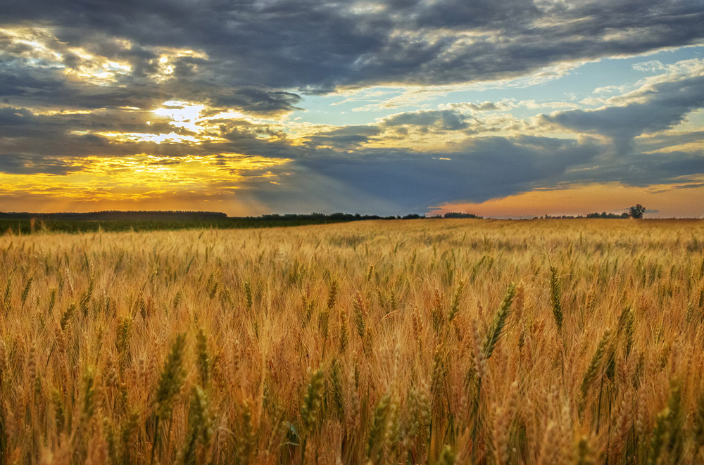Фотографія Вечірній краєвид / Олександр Гучок / photographers.ua