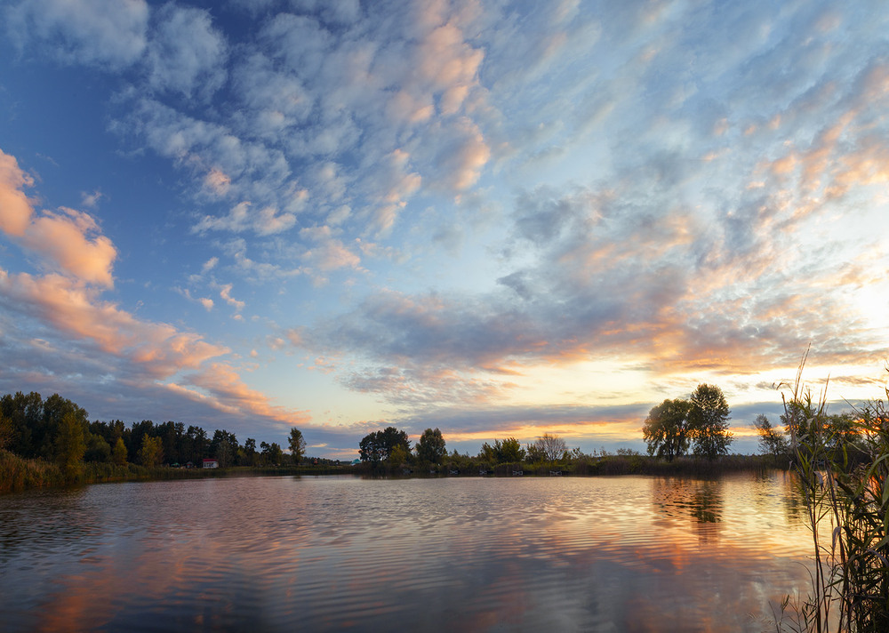 Фотографія Захід сонця над ставком / Олександр Гучок / photographers.ua