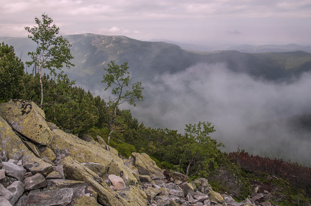 Фотографія 1500м. І тут нас наздогнали тумани... / Наталя Зайченко / photographers.ua
