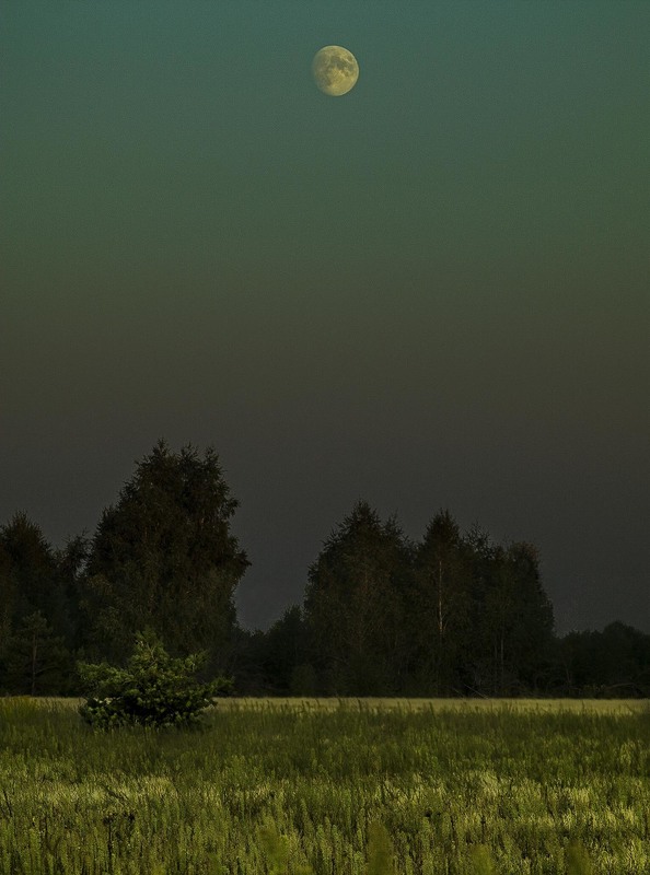 Фотографія Схід Місяця через "пояс Венери" / avido / photographers.ua