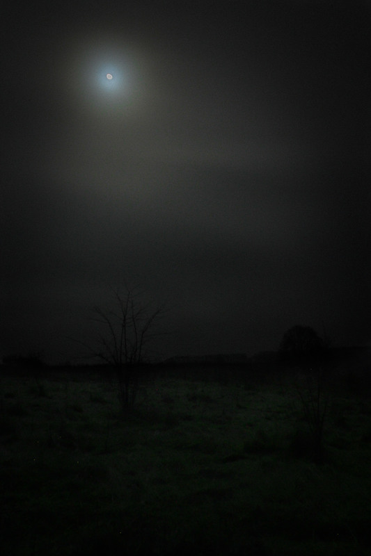 Фотографія Січневий місяць / avido / photographers.ua