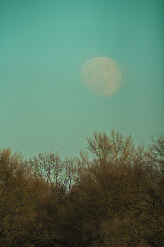 Фотографія Схід місяця. / avido / photographers.ua