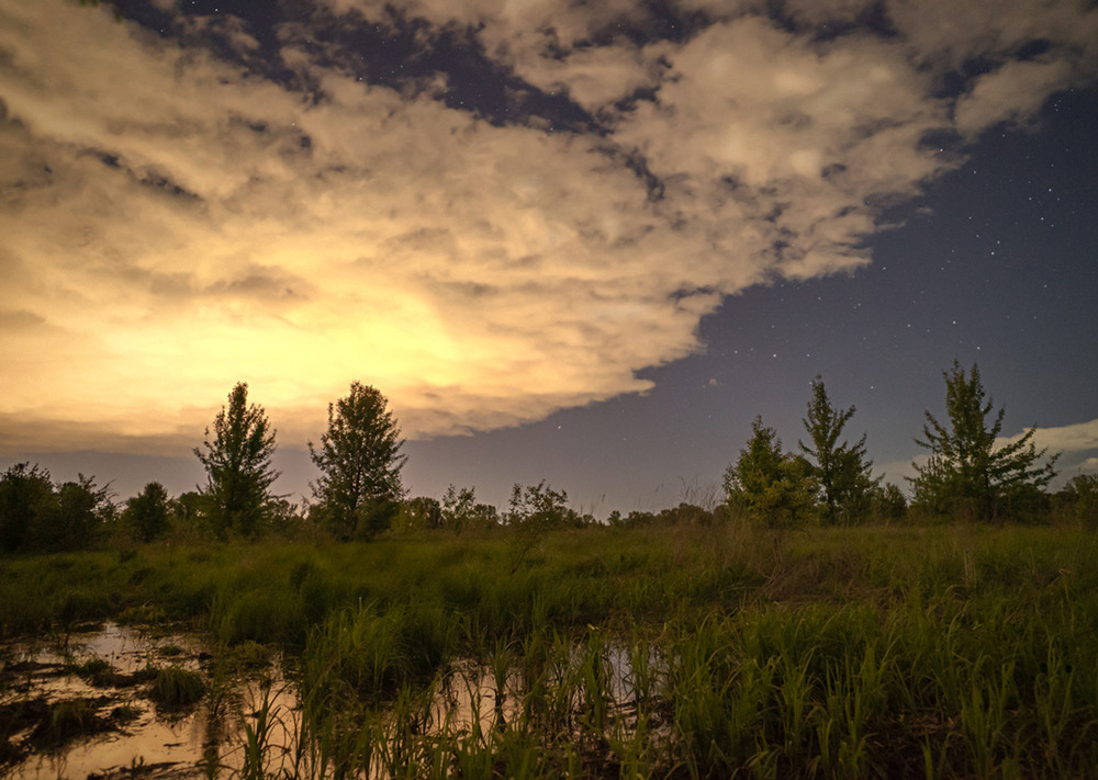 Фотографія Вогні міста і луки / avido / photographers.ua