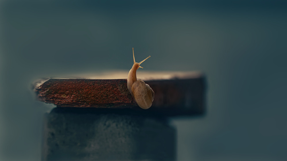 Фотографія Що там, за обрієм? / Біллі Бонс / photographers.ua