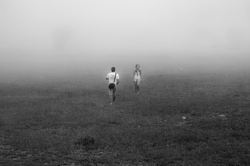 Фотографія Ежики в тумане / Юра Восток / photographers.ua