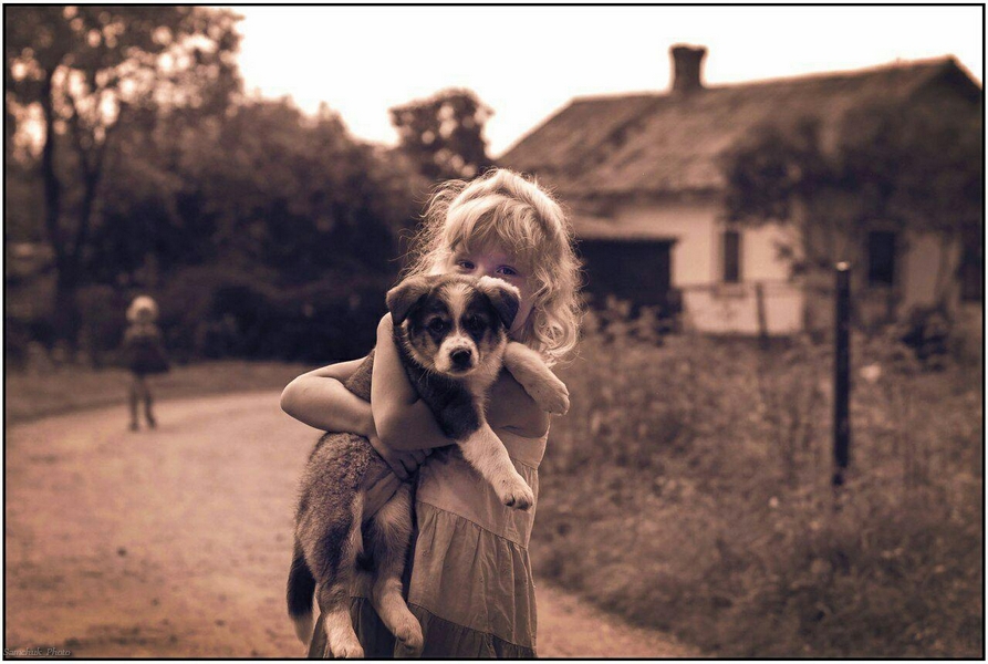 Фотографія Angelina and dog Lola... / Oles Samchuk / photographers.ua