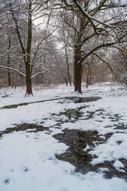 Фотографія Сперечалася зима з весною... / Ольга Ніканорова / photographers.ua