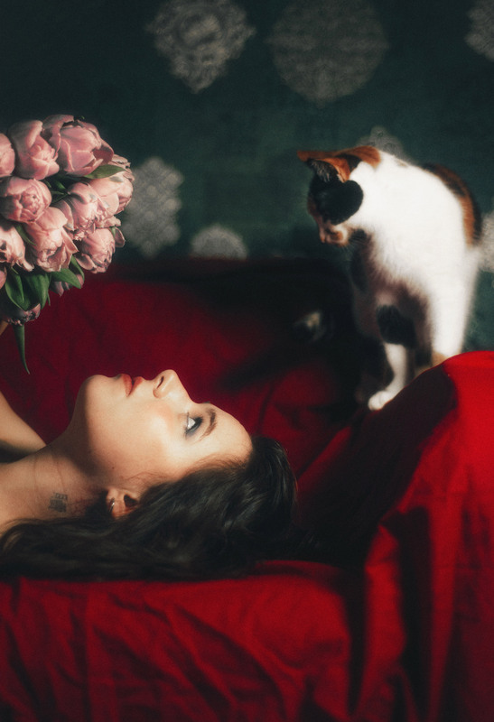 Фотографія Two sweet kitties / Віталій / photographers.ua