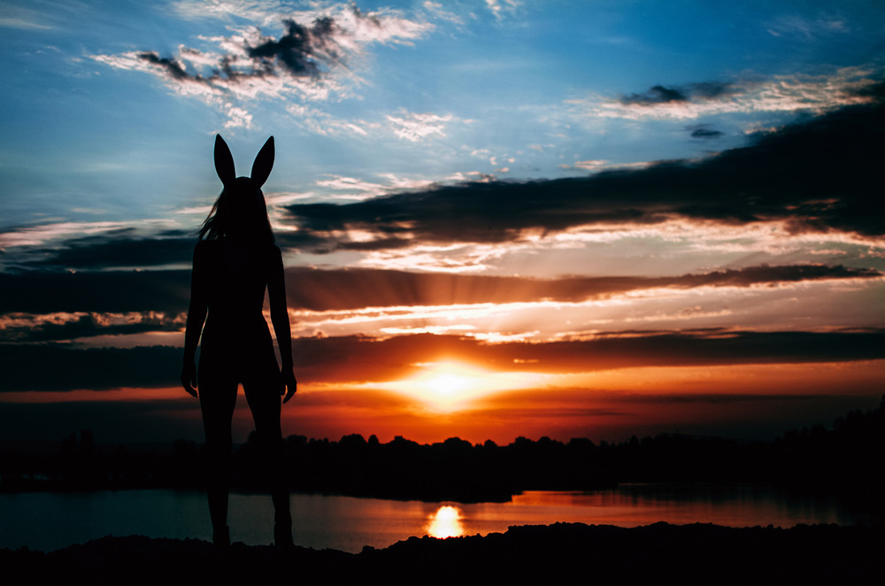Фотографія Sunset Bunny / Віталій / photographers.ua