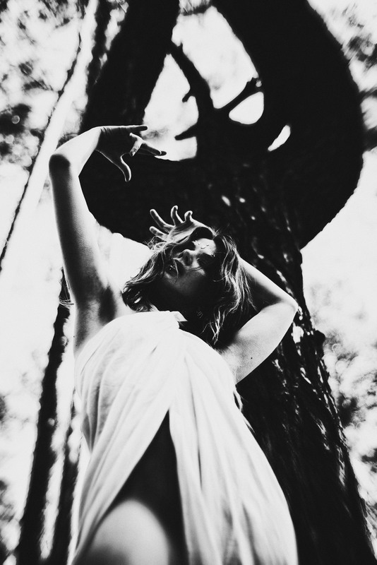 Фотографія The Dark Tree / Віталій / photographers.ua