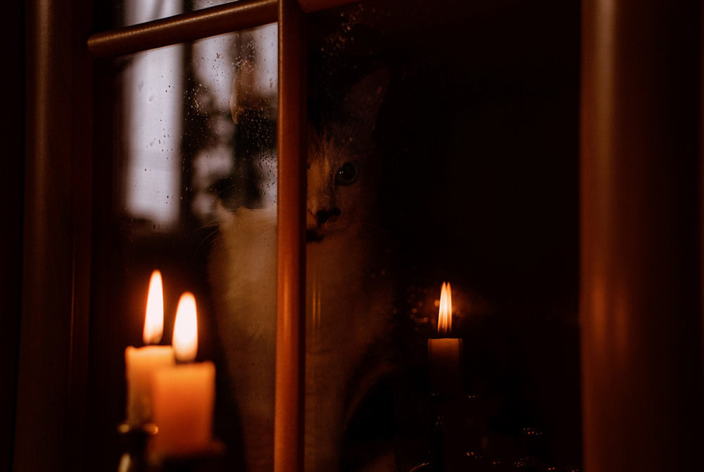 Фотографія Halloween Eve / Віталій / photographers.ua