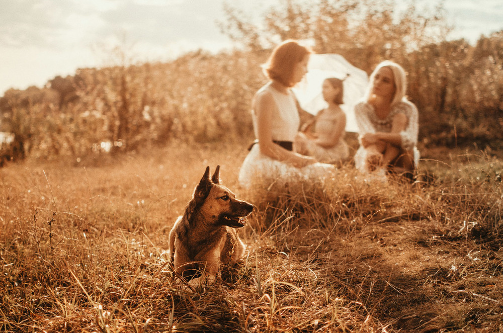 Фотографія 3 girls on the Meadow (To Say Nothing of the Dog) / Віталій / photographers.ua