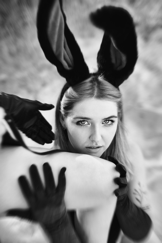 Фотографія Honey Bunny / Віталій / photographers.ua