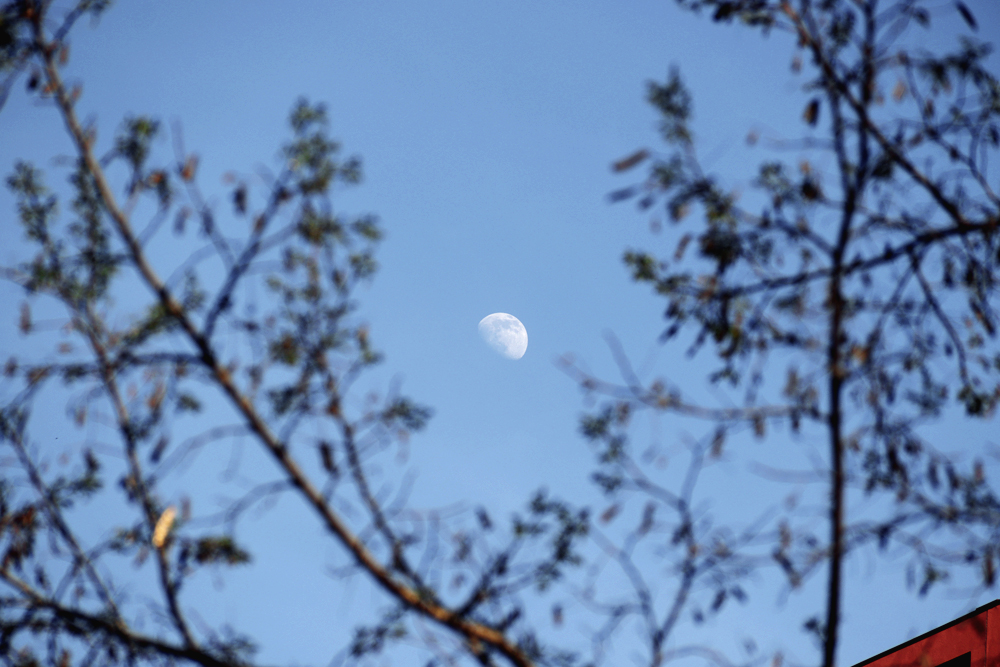 Фотографія Місяць / Ira Khodiuk / photographers.ua