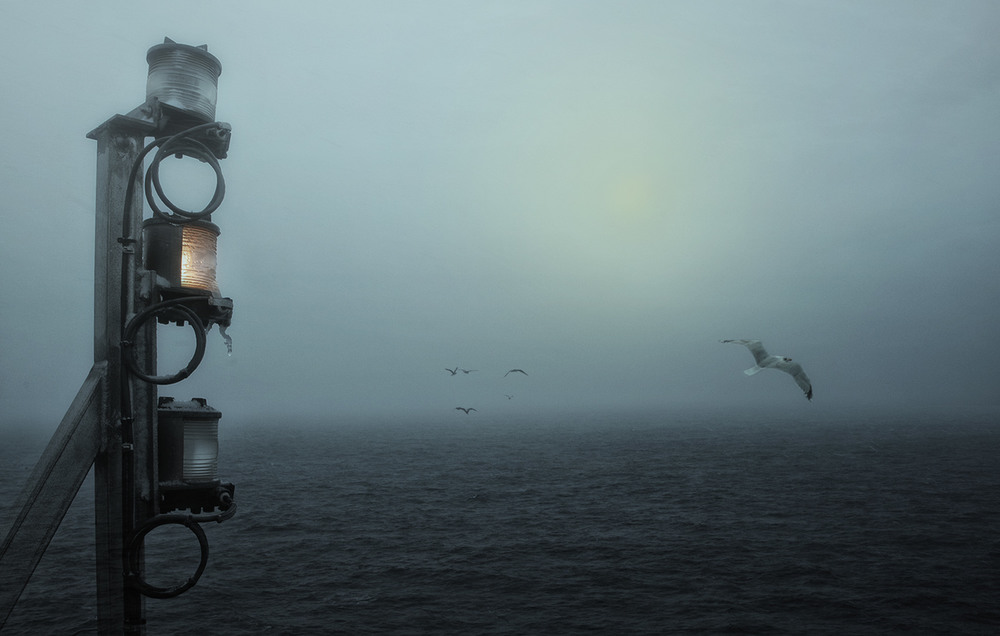 Фотографія Туман, туман-седая пелена / Сергей Иванов / photographers.ua