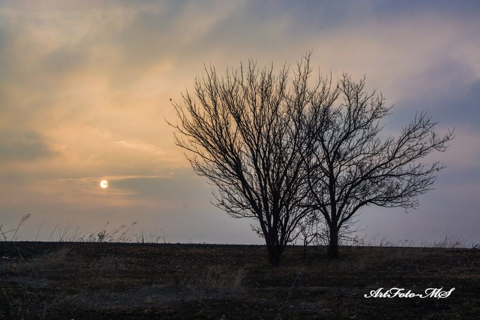 Фотографія Двоє на світанку / Two at dawn / Сергій Марущак / photographers.ua