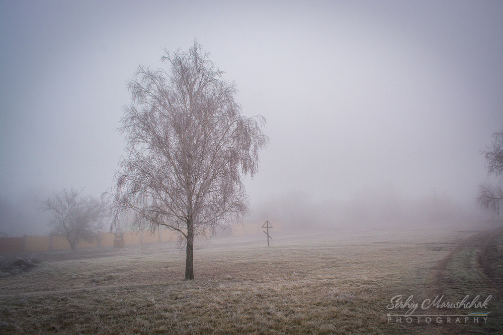 Фотографія Туман... / Сергій Марущак / photographers.ua